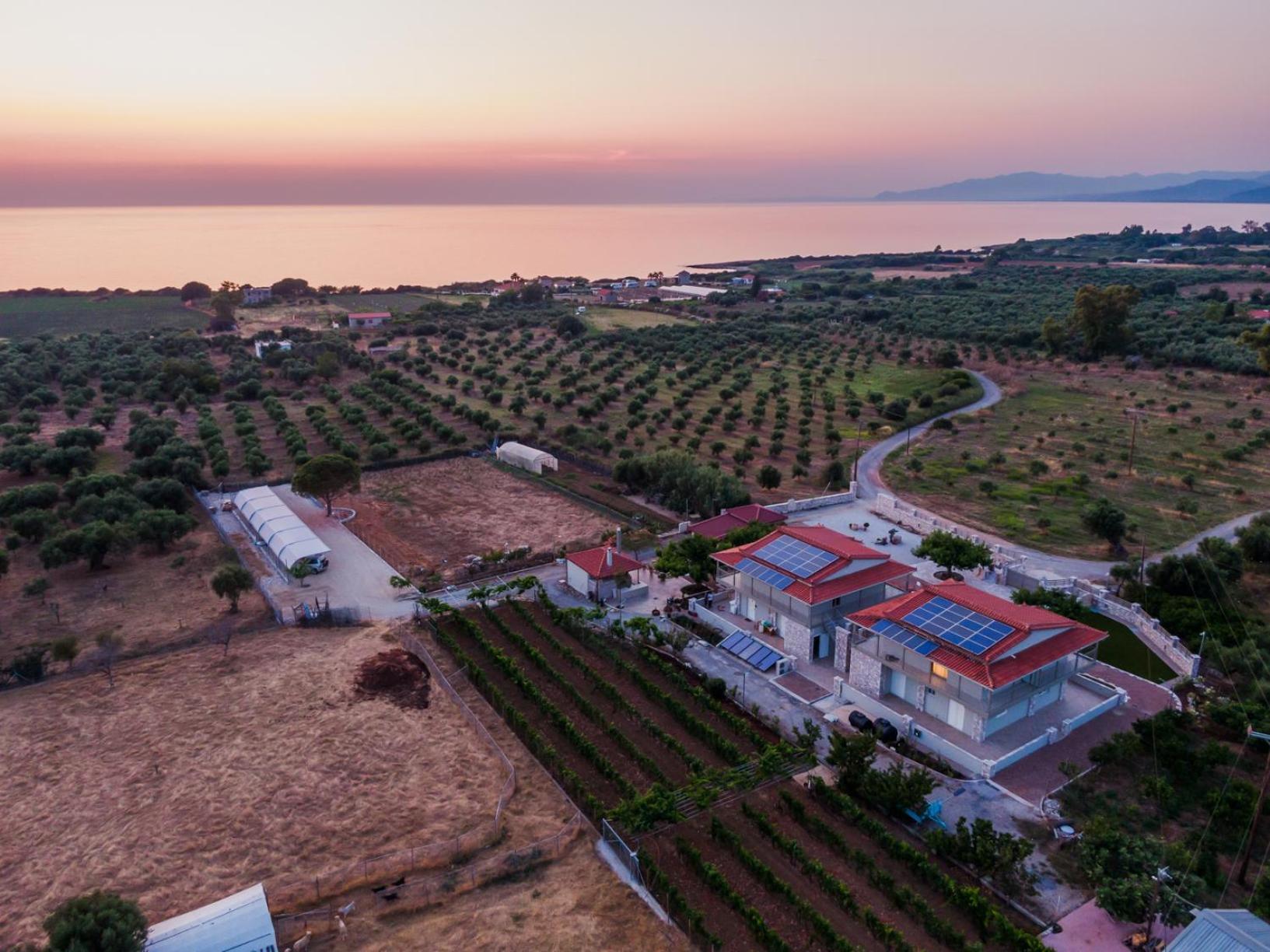 Terra Helios Suites & Studios Кипарисия Екстериор снимка