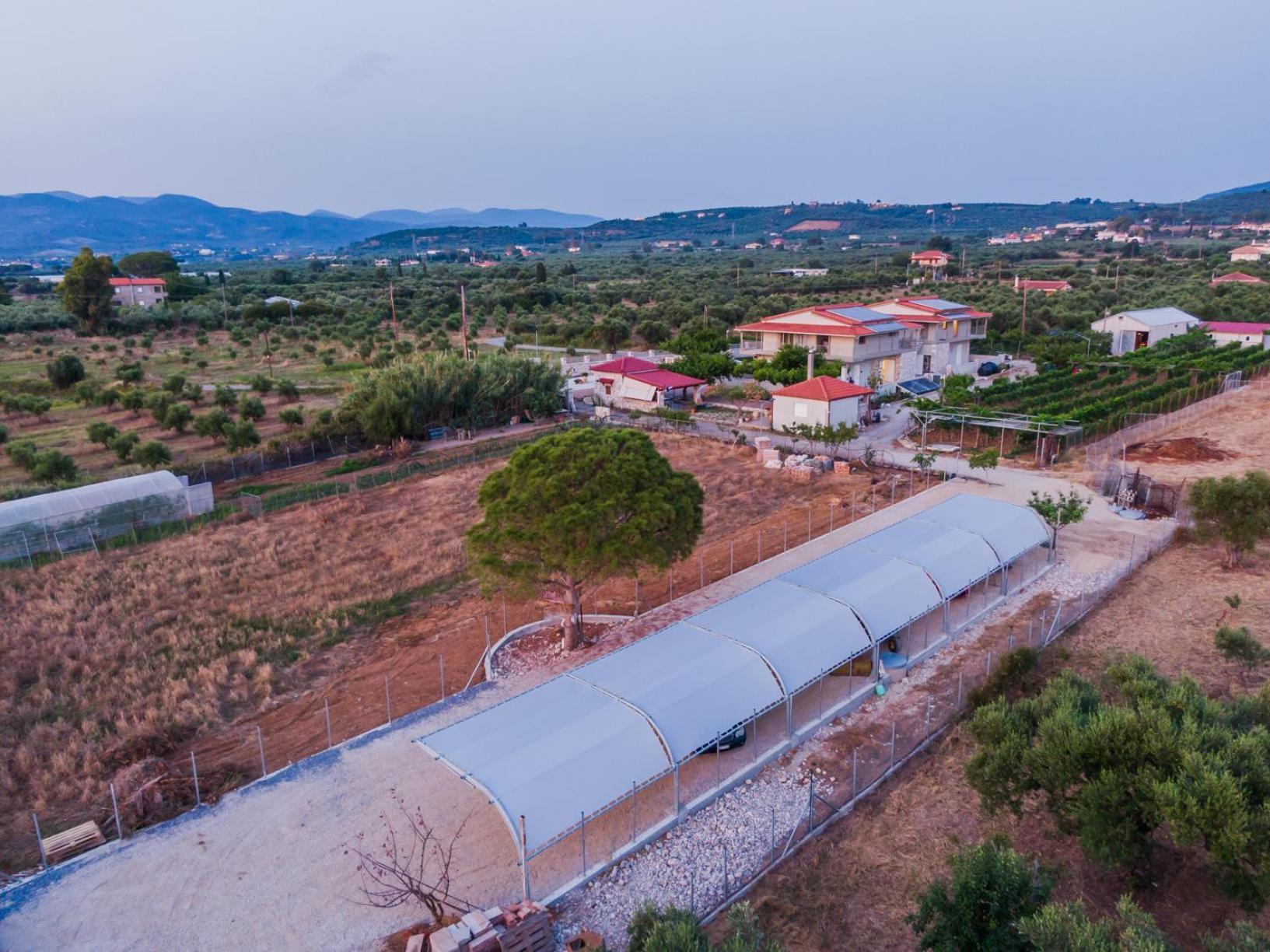Terra Helios Suites & Studios Кипарисия Екстериор снимка